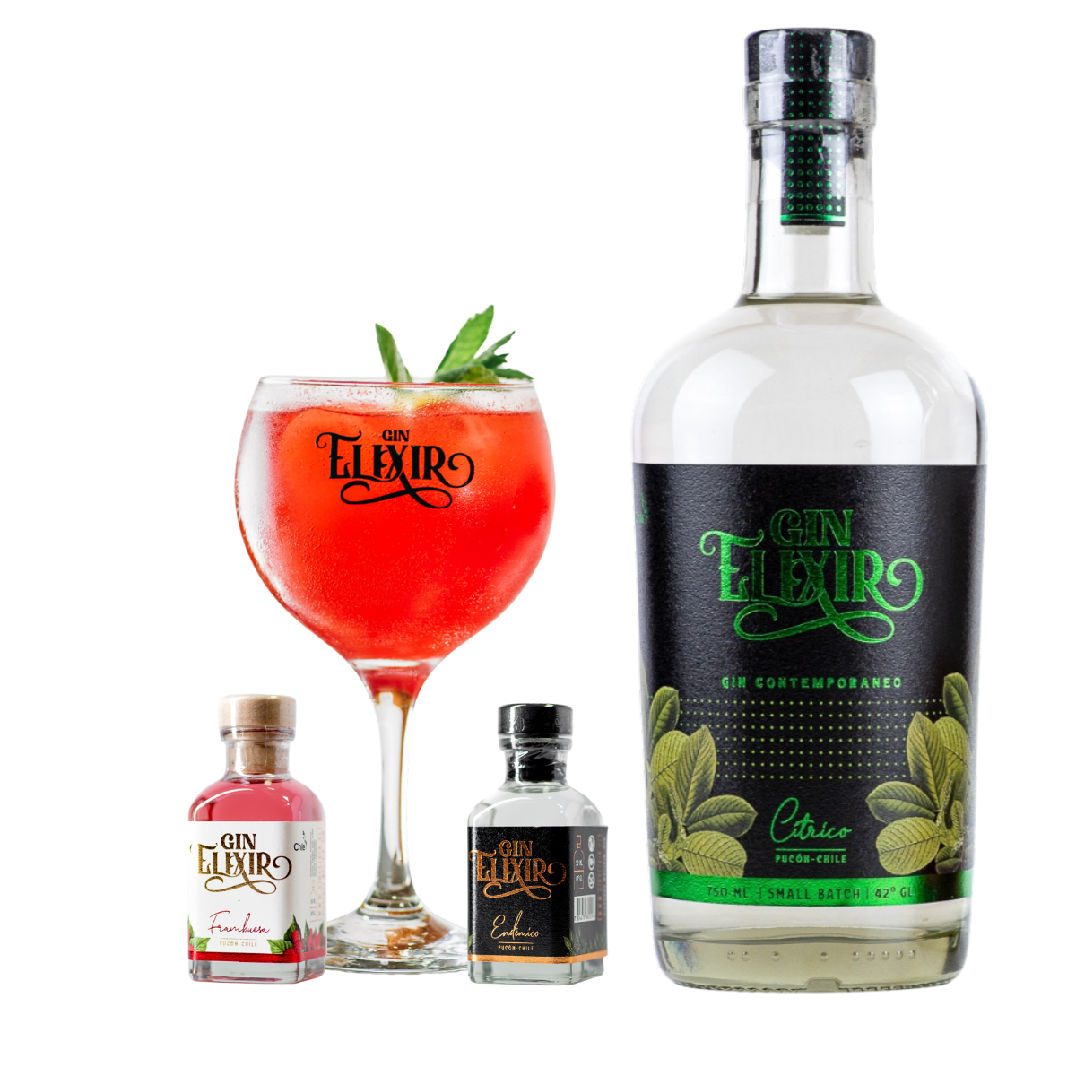 Experiencia Gin Elixir