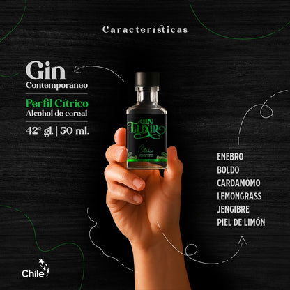 Experiencia Gin Elixir Miniaturas 50 ml