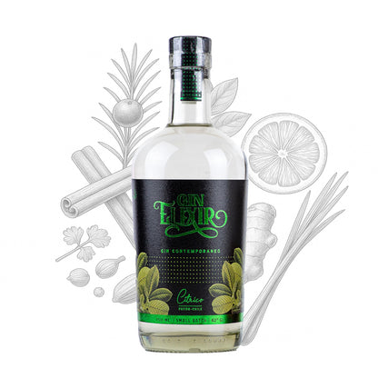 Gin Elixir Cítrico 750 ml