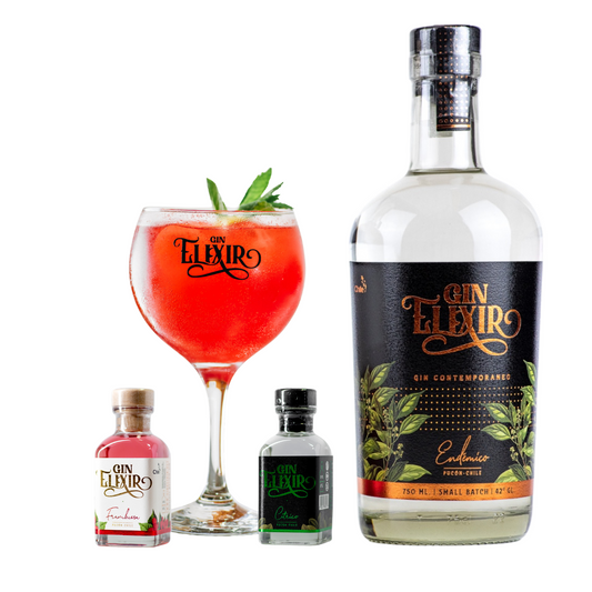 Experiencia Gin Elixir Endémico