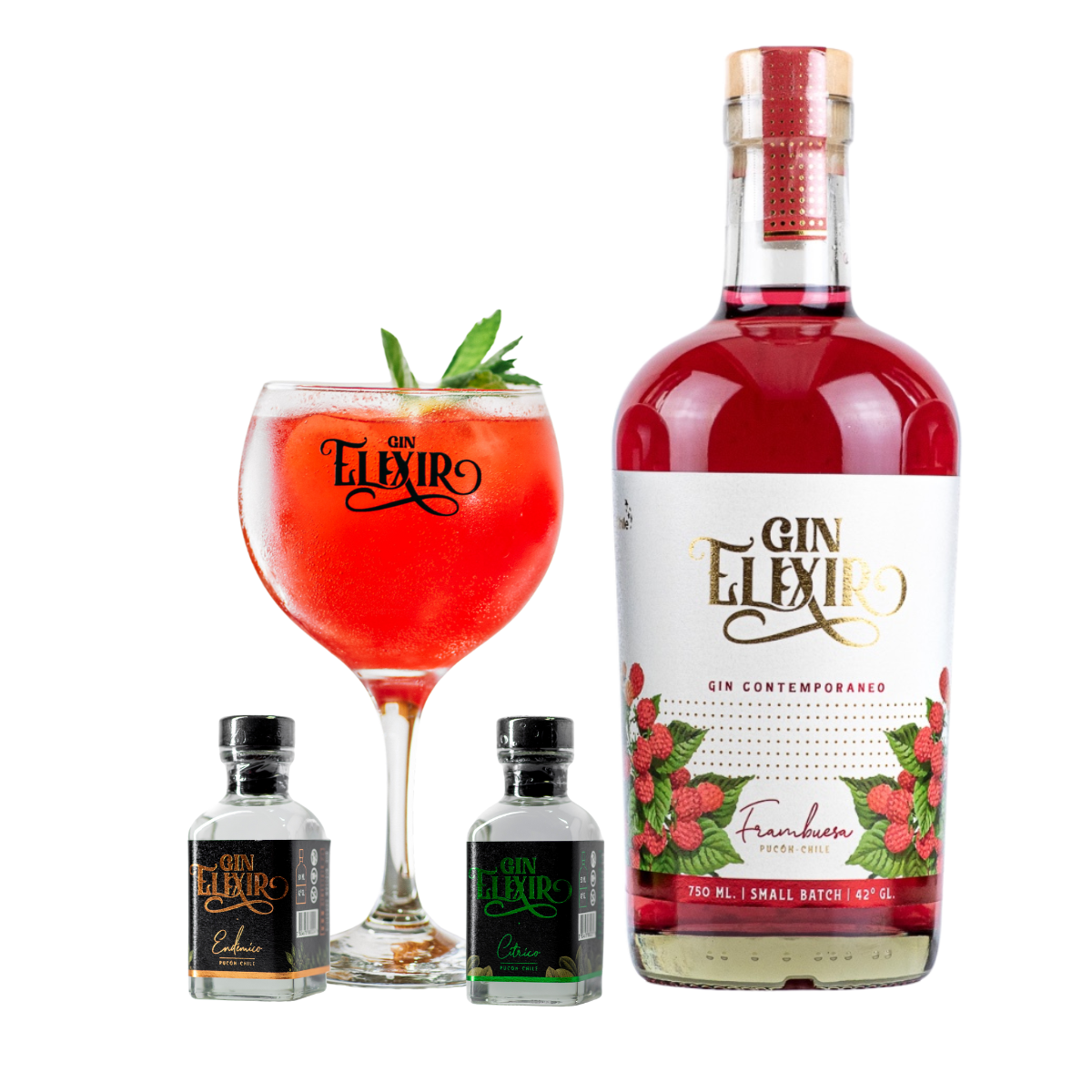 Experiencia Gin Elixir Frambuesa