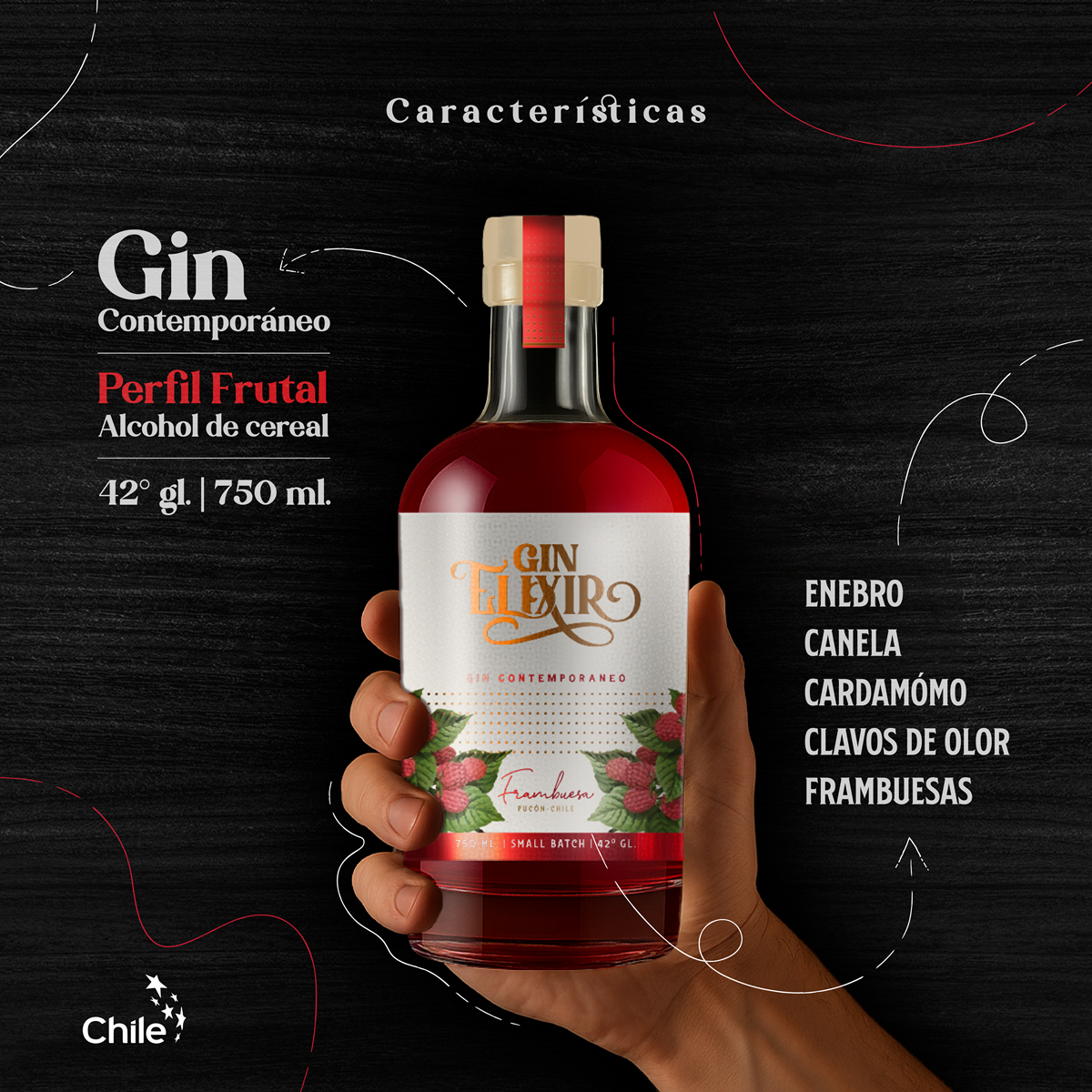 Gin Elixir Frambuesa Mini 50 ml