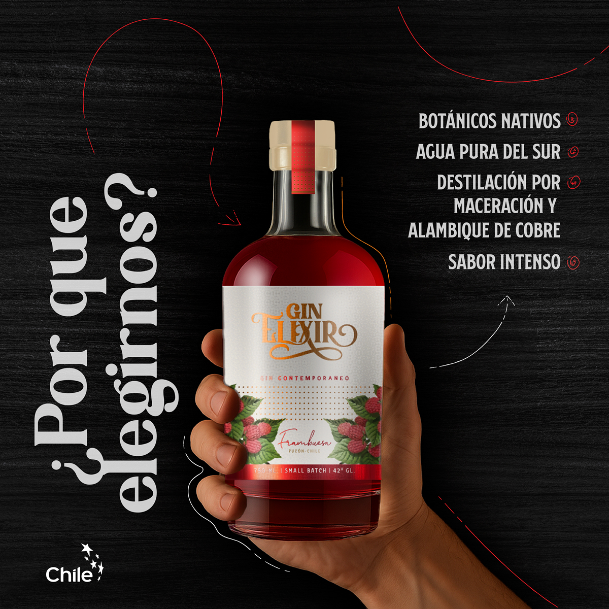 Gin Elixir Frambuesa Mini 50 ml