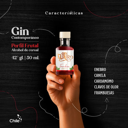 Experiencia Gin Elixir Miniaturas 50 ml