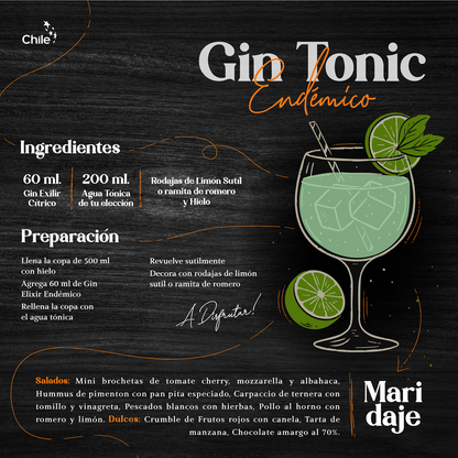 Gin Elixir Endémico Mini 50 ml
