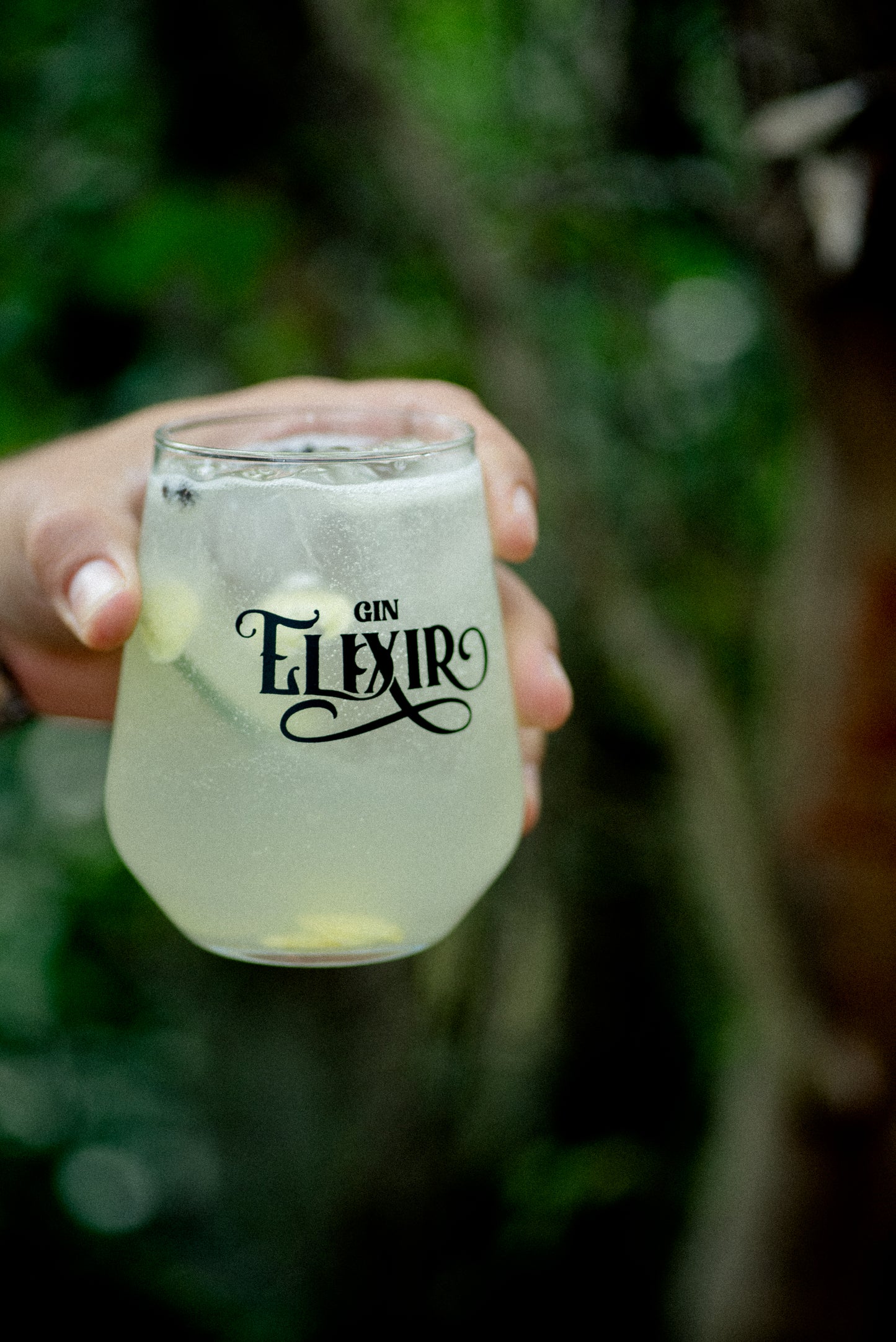 Gin Elixir Cítrico 750 ml